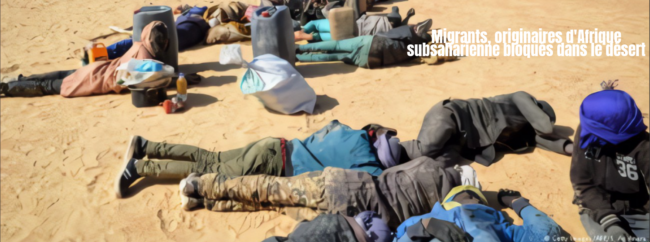 migrants expulsés d'Algérie et bloqués dans la ville désertique et isolée d'Assamaka, au Niger.