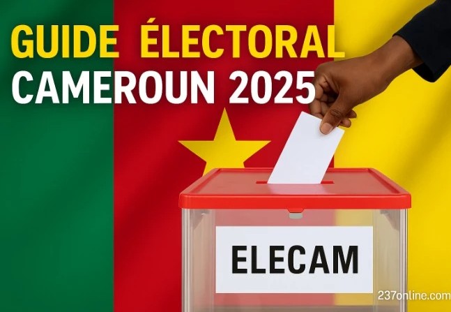 Cameroun une commission de dépouillement