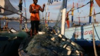 Cap-Vert un modèle d’économie bleue en Afrique